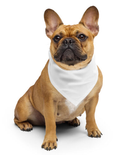 All-over print bandana